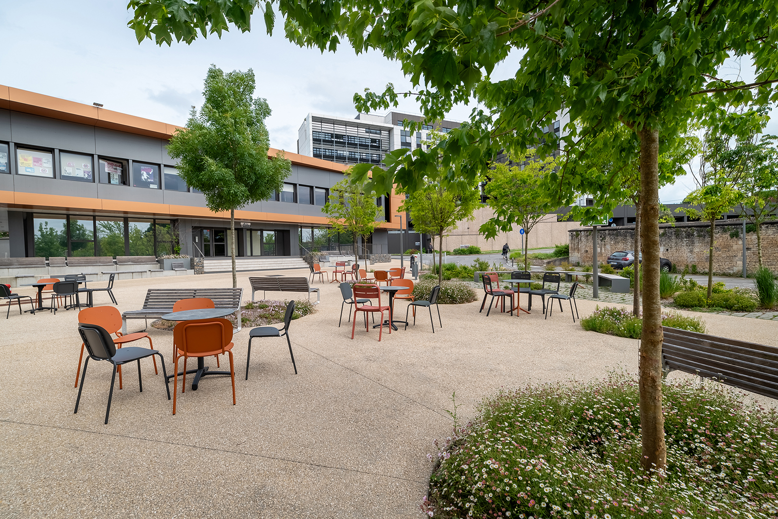 8_Rehabilitation IMA_Turpaud-Scape_8